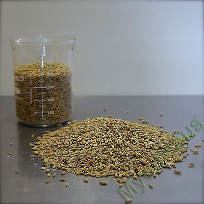 25 Pounds Rye Grain / Rye Berries-RAW